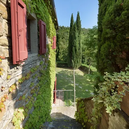 Le Volpaie 6&1, Emma * Cortona