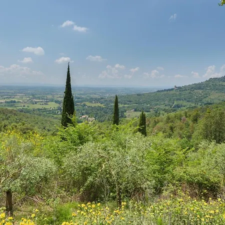 Le Volpaie 6&1, Emma *