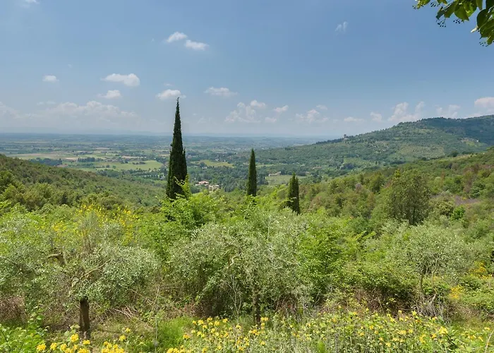 Le Volpaie 6&1, Emma *